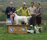 BOS_Shoguns_Funky_Diva_f