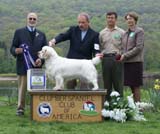 B_ReserveWinnerDog_Nexus_Dark_Horse_b