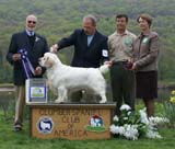 B_ReserveWinnerDog_Nexus_Dark_Horse_d