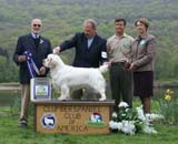 B_ReserveWinnerDog_Nexus_Dark_Horse_e