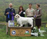 B_WinnerDog_Shoguns_Little_Dividend_e