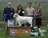 B_WinnerDog_Shoguns_Little_Dividend_f