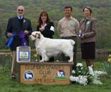 B_WinnerDog_Shoguns_Little_Dividend_g