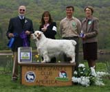 B_WinnerDog_Shoguns_Little_Dividend_h