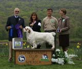 B_WinnerDog_Shoguns_Little_Dividend_j