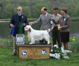 BestBredbyExhibitor_Clussexx_Tickling_the_Ivories