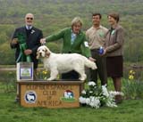 BestPuppy_Companionways_How_The_West_Was_Won_d