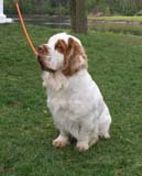 Kings_Land_of_Ice_and_Snow