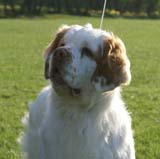 Nexus_Seduced_by_Dark_Side_4