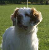 Nexus_Seduced_by_Dark_Side_7