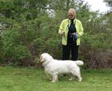 ShoGuns_Winter_Warmer_Mari