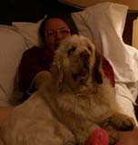 Shoguns_Angelina_Ballerina_our_room_mate_b