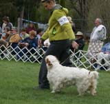 Shoguns_Funky_Diva_d