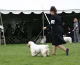 Shoguns_Nevada_Harvest_b