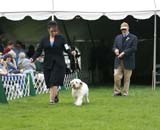 Shoguns_Nevada_Harvest_f