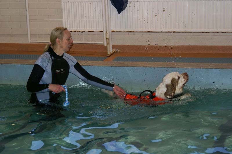 DogSpa_7Feb2010_l_Eddie_b