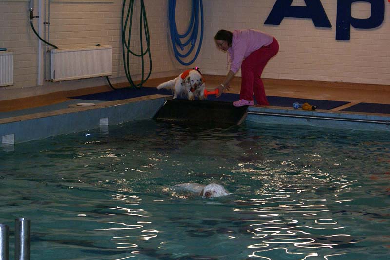 DogSpa_7Feb2010_m_Cotton_Hilla