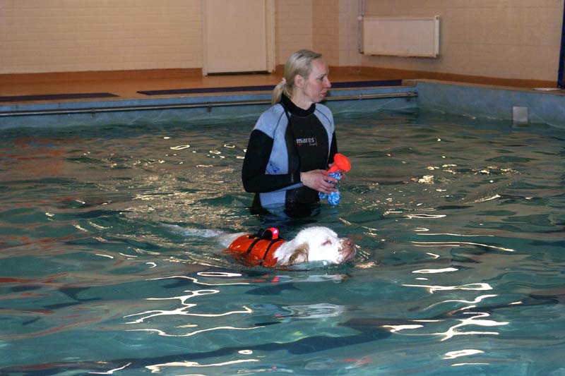 DogSpa_7Feb2010_n_Hilla_b