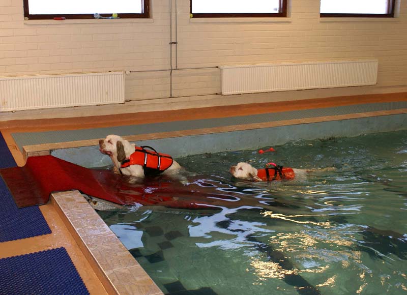 DogSpa_7Feb2010_q_Eddie_Hilla