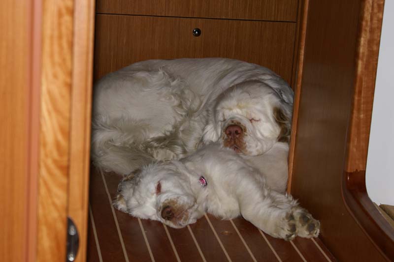 Erica's_first_sailing_s_Bumbaa_Hilla