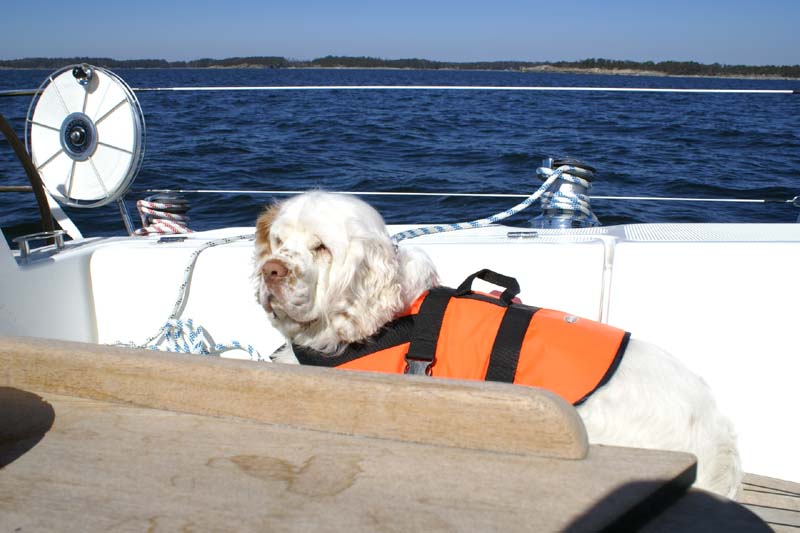 Erica's_first_sailing_x_Cotton