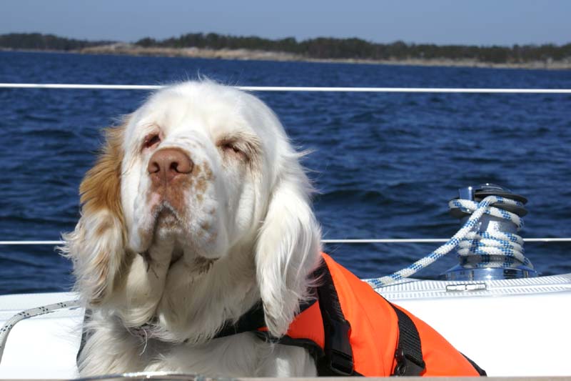 Erica's_first_sailing_y_Cotton