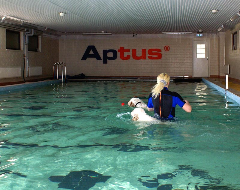 Cotton_Funky_Swimminghall_5April2007_d