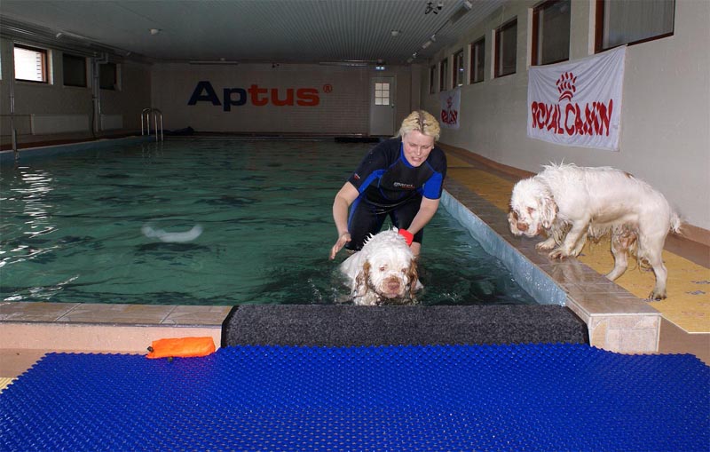 Cotton_Funky_Swimminghall_5April2007_e