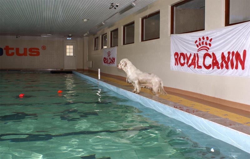 Cotton_Swimminghall_5April2007