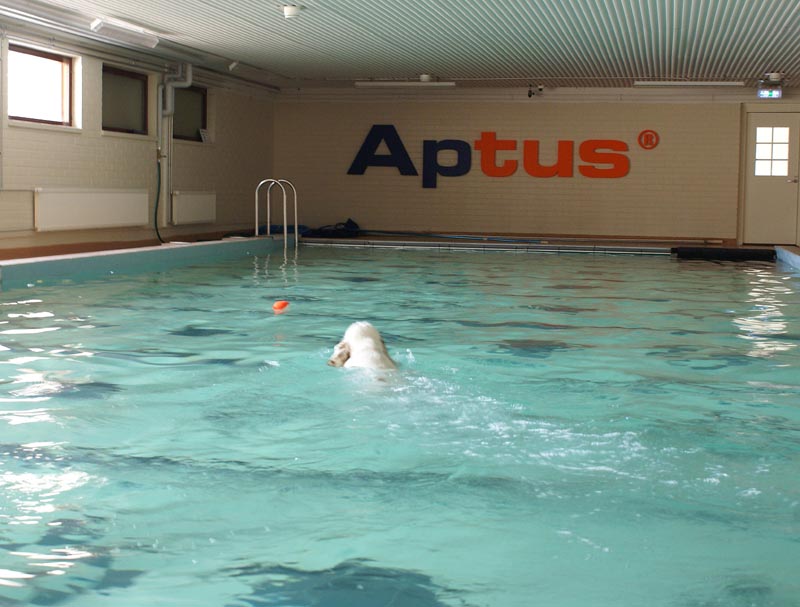 Cotton_Swimminghall_5April2007_b