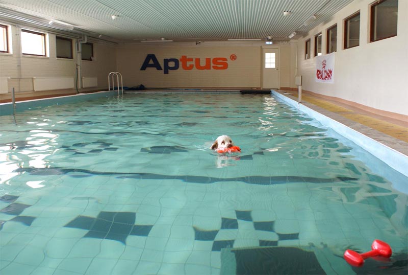 Cotton_Swimminghall_5April2007_c