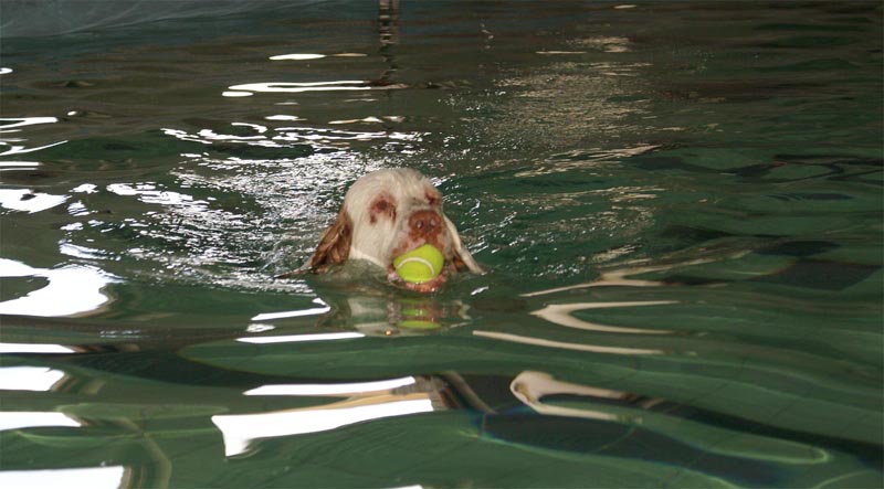 Cotton_Swimminghall_5April2007_g