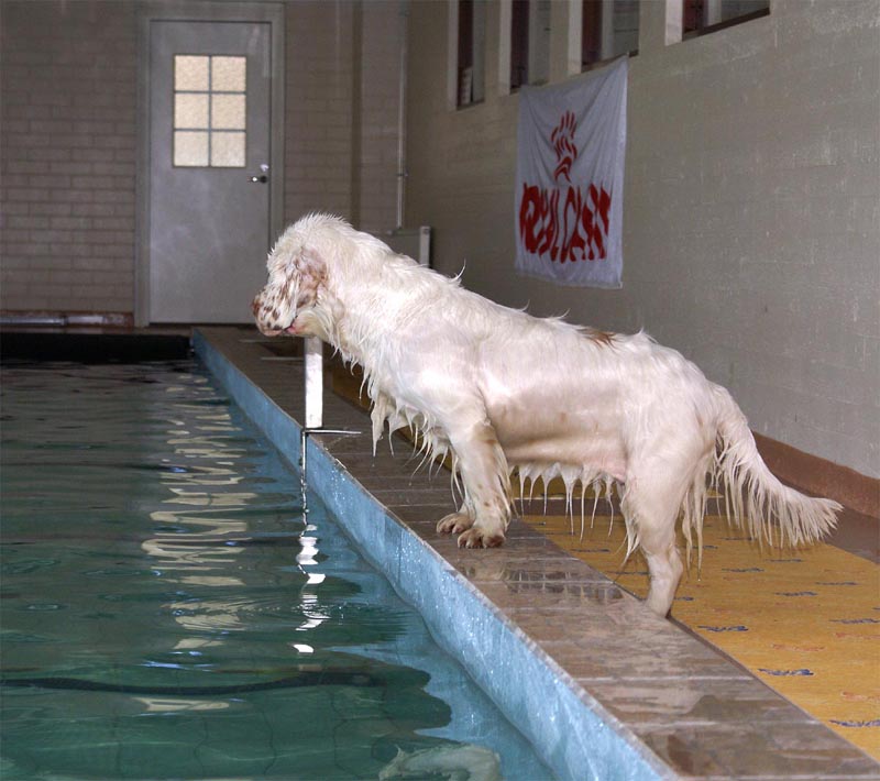 Cotton_Swimminghall_5April2007_i