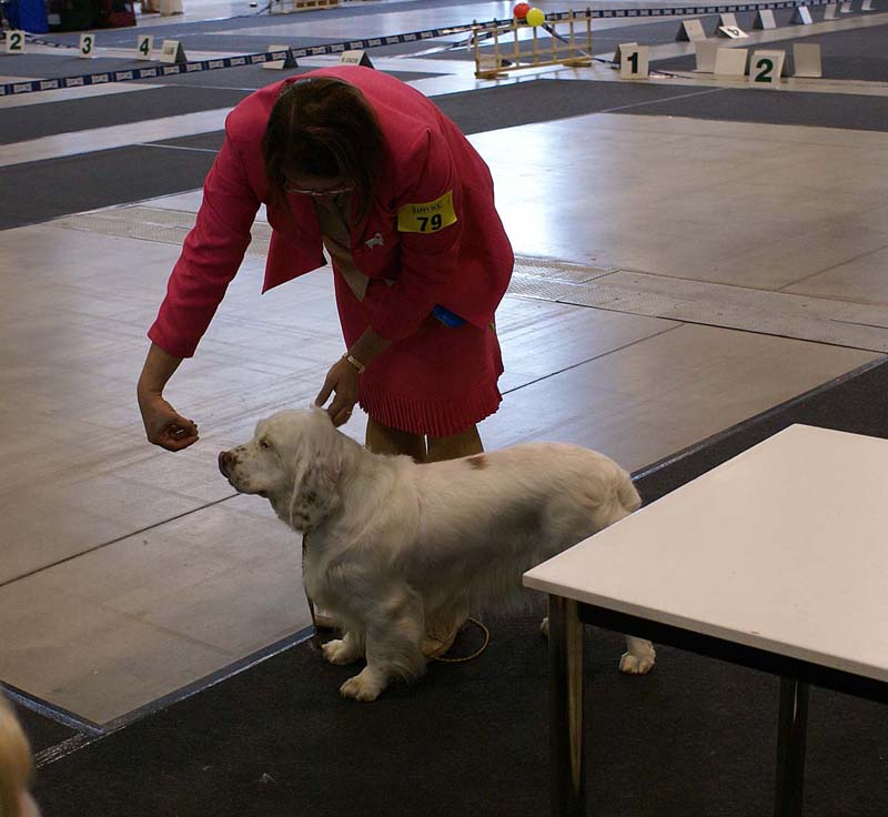 Vilnius_INT_Show_Cotton_b