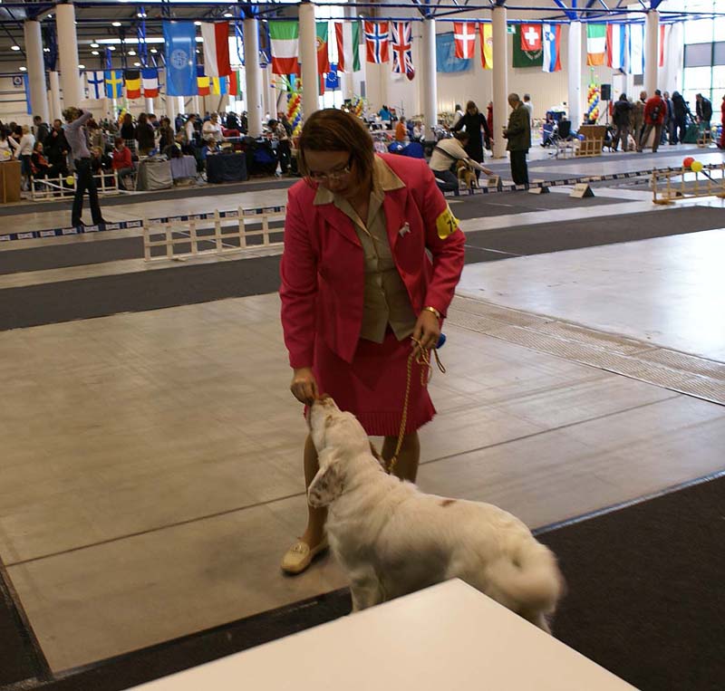 Vilnius_INT_Show_Cotton_c