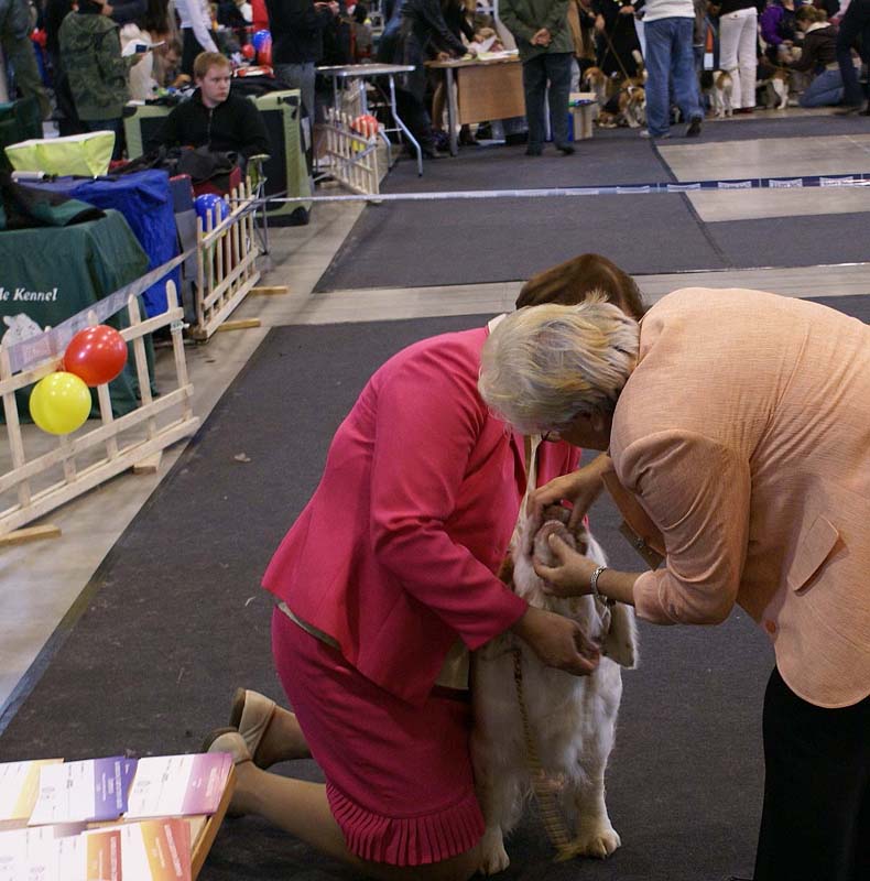 Vilnius_INT_Show_Cotton_d