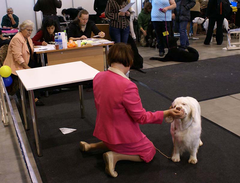 Vilnius_INT_Show_Cotton_g