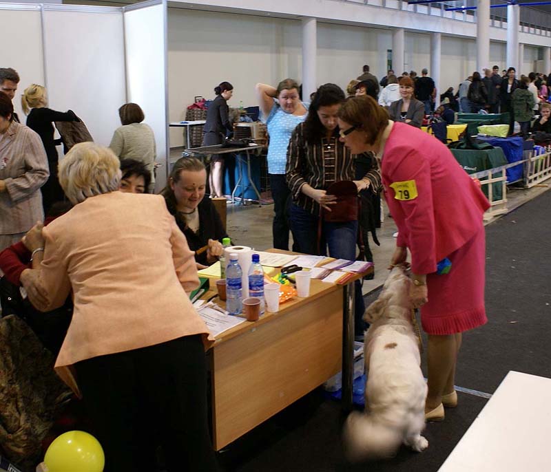 Vilnius_INT_Show_Cotton_j