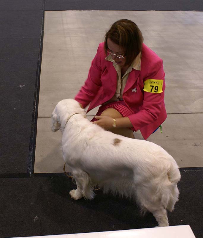 Vilnius_INT_Show_Cotton_l