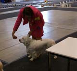 Vilnius_INT_Show_Cotton_b