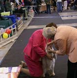 Vilnius_INT_Show_Cotton_d