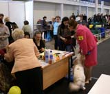 Vilnius_INT_Show_Cotton_j