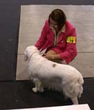 Vilnius_INT_Show_Cotton_l