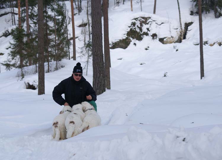 Hilla_Bumbaa_Cotton_Ira_Feb2011_b