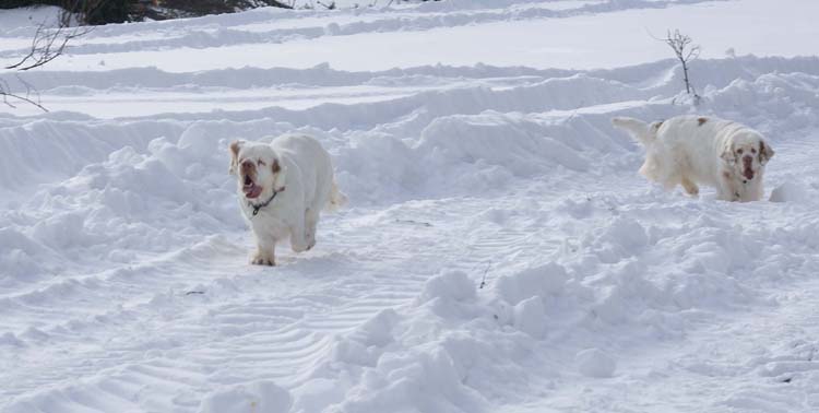 Hilla_Bumbaa_Feb2011