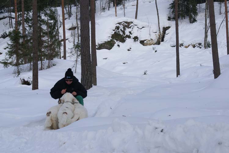 Hilla_Cotton_Feb2011