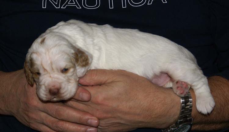 GirlPurple_3weeks_old_c