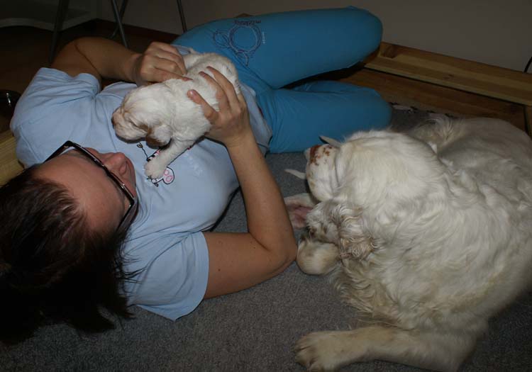 aa_Cotton_Rocky_pups_3weeks_d