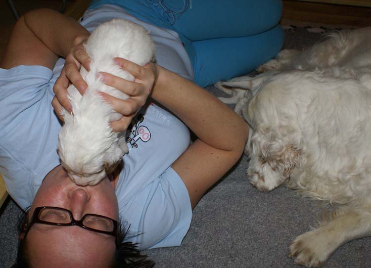 aa_Cotton_Rocky_pups_3weeks_k