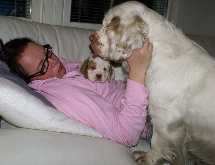 Cotton_Rocky_pups_5weeks_vvv